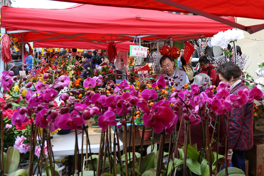 Chinese New Year Flower Fair