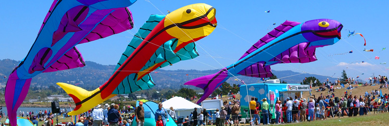 SF Weekend Events Berkeley Kite Festival